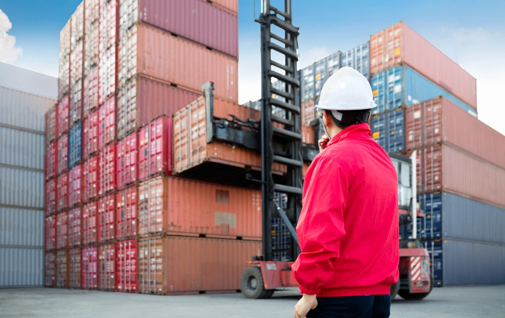 Marine Port View Shipping Agency FZE